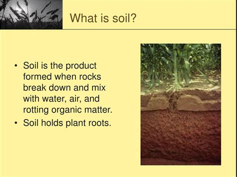 Soil Meaning .